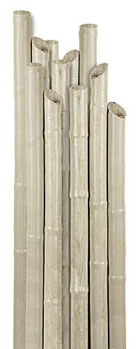 Verdelook Canna In Plastica Reggipiante Altezza 210 Cm, Diametro 27 Mm, Beige, Per Sorreggere Le Piante