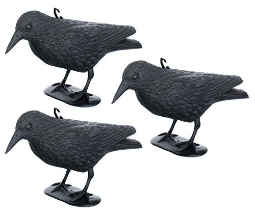 Brandsseller Set 3 Statuetta Di Corvo 36 Cm Neri 3 Pezzi Corvo Finto Spaventapasseri
