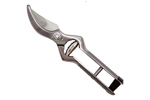 Falci 247500-23 Forbice Da Vigna E Potatura Forgiata Con Chiusura In Cuoio, 23 Cm, Grigio