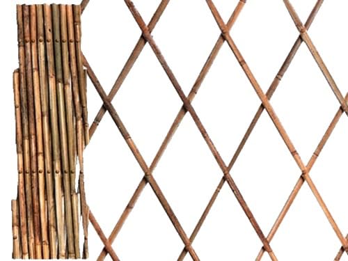 Gdlc Traliccio Estensibile In Legno Bamboo Dimensioni 90X240 Cm.
