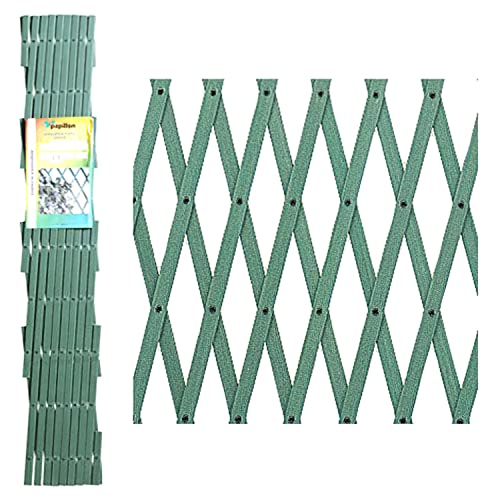 Papillon Celosia Pvc Verde Extensible 2X1 Metros.