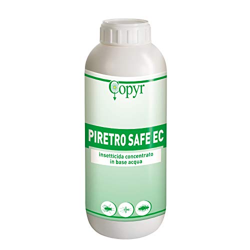 Copyr | Piretro Safe Ec: Insetticida Concentrato Contro Insetti Volanti, Mosche, Zanzare, Insetti Striscianti E Scarafaggi - Flacone 1000 Ml