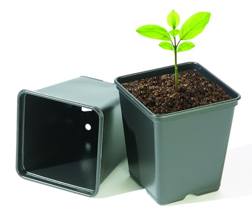 Bosmere Vasi Di Ricambio Per Verdure, 9 Cm, Quadrati, Confezione Da 18, N326