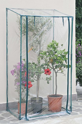 Verdemax 2626 Serre Buganvillea 100 X 70 X 170/190 Cm