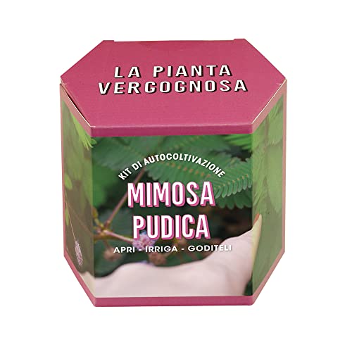 Resetea Kit Di Autocoltivazione Mimosa Pudica, La Pianta Vergognosa