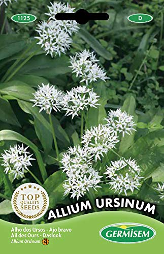 Germisem Allium Ursinum Semi Di Aglio Selvatico 0.7 G