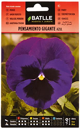 Semillas Batlle - Pensiero Gigante Blu
