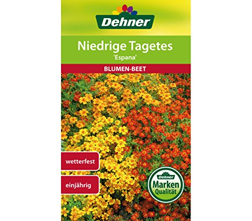 Dehner - Sementi Per Fiori Espana, Confezione Da 5 (5 X 1 G)