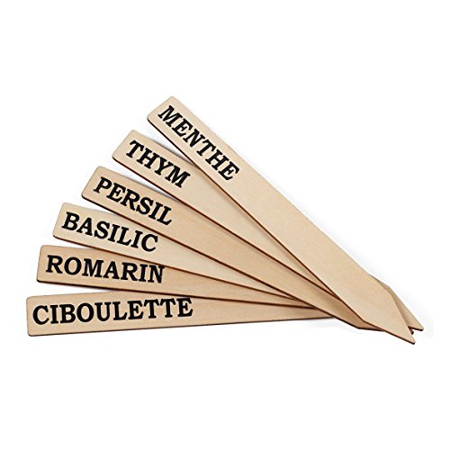 La Cordeline 6 Etichette Con Marchio Pianta Aromatica 18 X 2 Cm S/Bustina, Etichette, Legno, 2 X 2, 5 X 18 Cm, Etbmpa