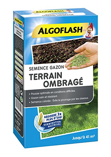 Algoflash Sementi Prato Campo Ombragé, 900 G, Semsol5