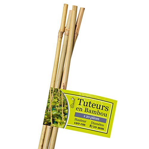 Confezione Da 20 Tutor In Bambù, Lunghezza 120 Cm, Diametro 8/10 Mm, La Cordeline Ltb120-20