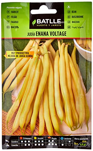 Batlle- Judia Voltage, 020556Bols