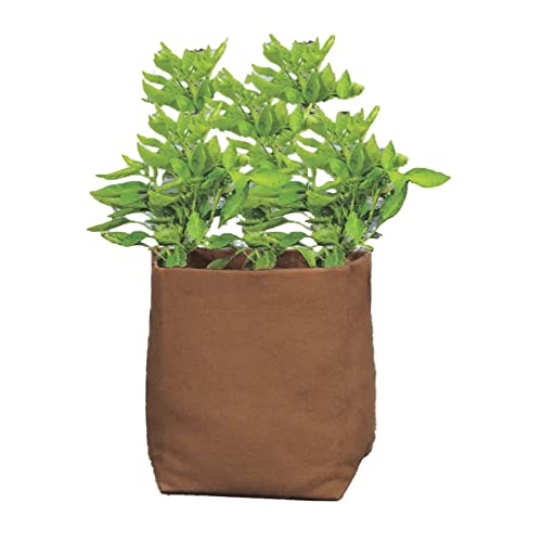 Haxnicks Hemp020101, Fioriera In Canapa, 20 L, Marrone