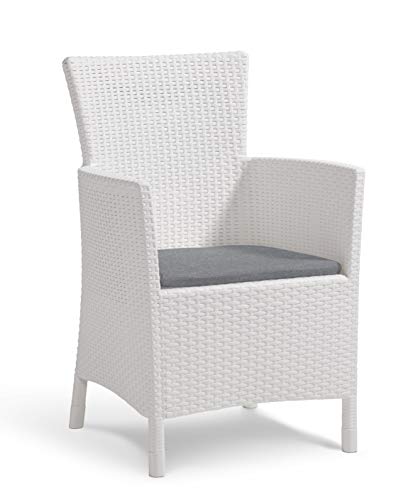 Allibert Iowa Poltrona Dining, Bianco/Grigio Freddo