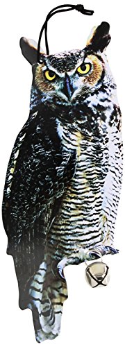 Scarer Uccello Frutta Caduta