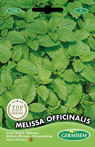 Germisem Melissa Officinalis Semi Di Melissa 1 G