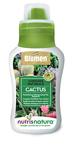 Concime Naturale Cactus E Piante Grasse