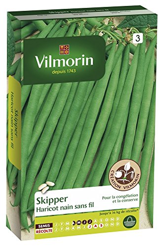 Vilmorin Haricot Skipper Sachet De Graines - Création Vilmorin - Recommandé Pour Congélation