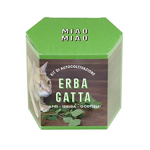 Resetea Kit Di Autocoltivazione Erba Gatta, Miao Miao
