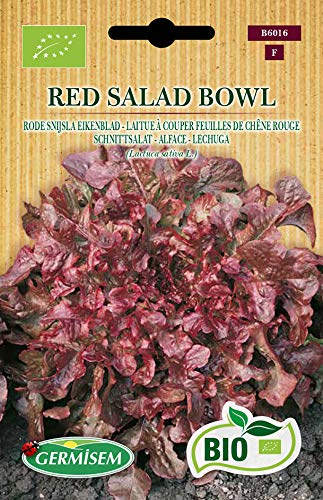Germisem Biologico Red Salad Bowl Semi Di Lattuga 2 G