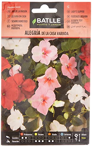 Semillas Batlle Gioia Della Casa Impatiens Vda