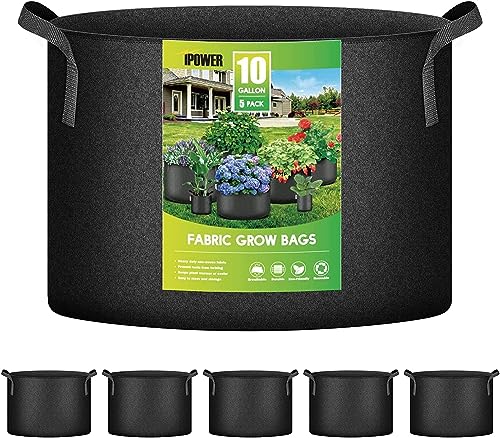 Ipower - Confezione Da 5 Sacchetti Per Coltivazione, 10 Galloni, Colore: Nero
