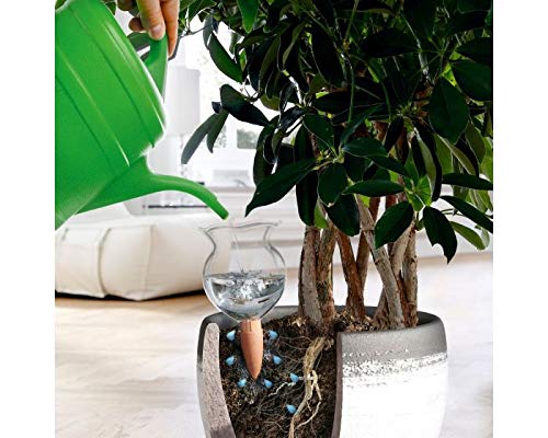 Bio Green Hbl-200-T Hydro Bloom Sistema Di Irrigazione Domestica, Trasparente