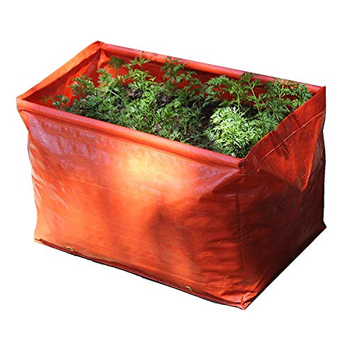 Haxnicks Che Pianta La Borsa Per Le Verdure