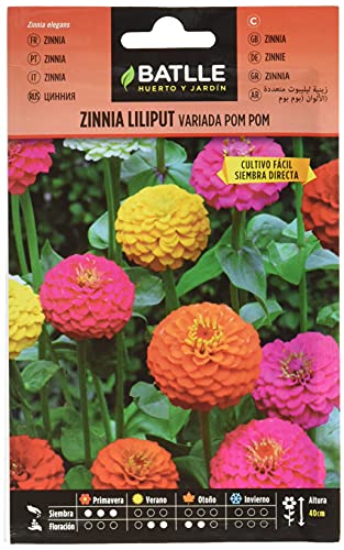 Battle - Semi Di Zinnia Liliput Variegata Pon Pon