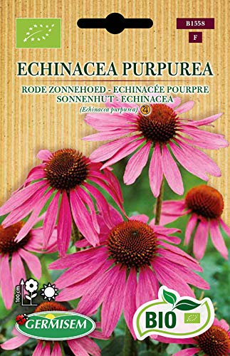 Germisem Biologico Echinacea Purpurea Semi Di Echinacea Viola 0.5 G