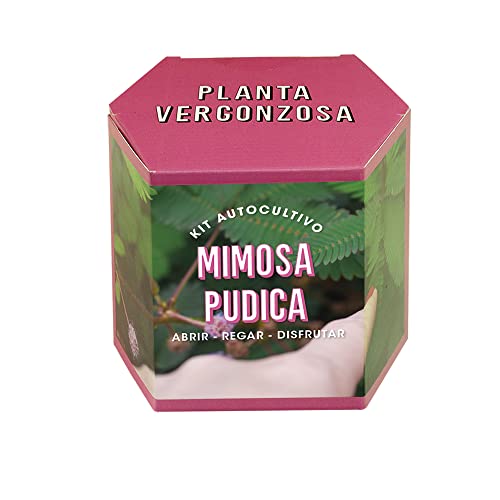Resetea | Kit Autocoltivazione | Mimosa Pudica