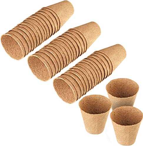 Meister 9968250 - Set Pratico Con 48 Pezzi – 100% Senza Torba In Cellulosa Certificata Pefc – Biodegradabili/Vaso Per Piante/Sementi/Coltivazione Di P