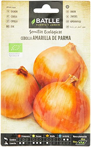 Semi Bio - Parma Yellow Onion (210 Seeds - Organic)