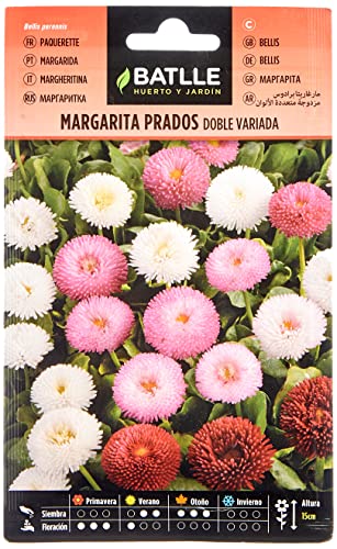 Semi Di Fiori – Margherita Prados Doppia Variata – Batlle