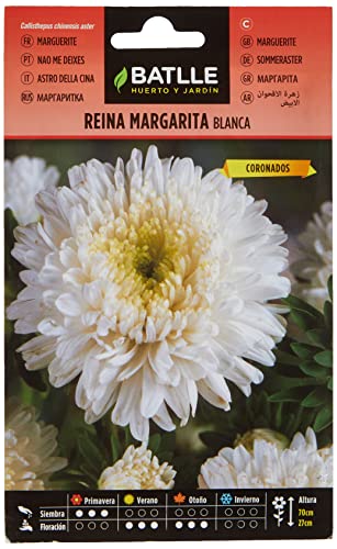 Semillas Batlle Regina Marg. Margaret Bianco