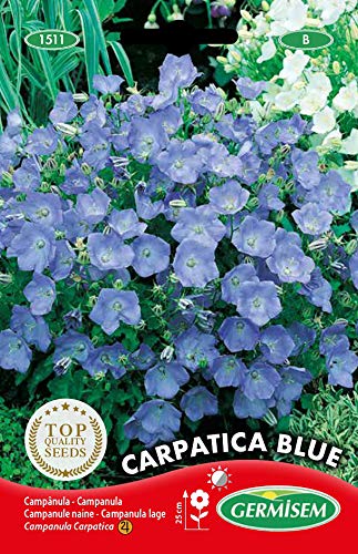 Germisem Carpatica Blue Semi Di Campanula 0.5 G