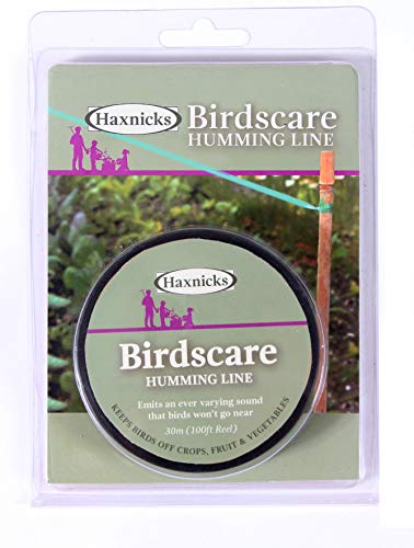 Nastro Deterrente Per Uccelli Haxnicks Bird010101, Verde, 30 X 1,5 X 0,03 Cm