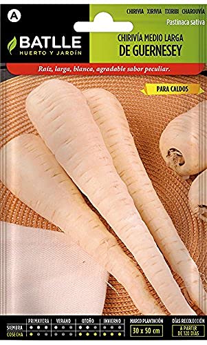 Semi Di Ortaggi Di Batlle - Parsnips Bianchi A Metà Lunghezza - Guernesey (4000 Semi)