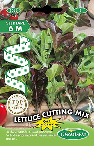 Germisem Lettuce Cutting Mix Semi Di Ravanello Su Nastro Da 6 M