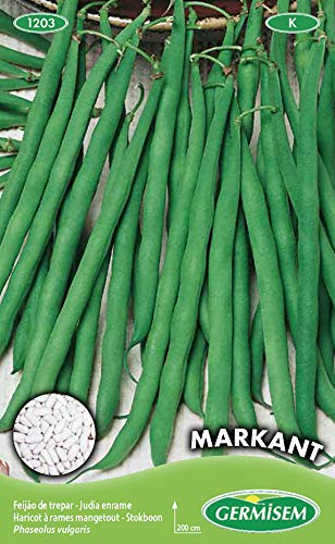 Germisem Markant Semi Di Fagiolo Rampicante 100 G