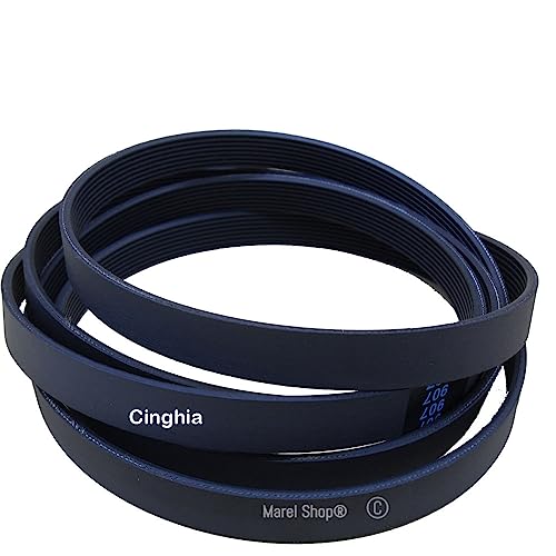 Marel Shop® - Cinghia 5Pje 1256 Per Lavatrice Compatibile Con San Giorgio It Wash Per Modelli : Wfa0877A - Wfa0877E - Wfa0905Fk - Wfa0835E