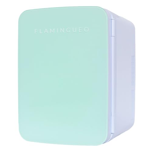 Flamingueo Frigorifero Piccolo 10L - Mini Frigo 12V/220V, Mini Frigo Da Camera, Funzione Raffreddamento E Riscaldamento, Frigo Vintage, Frigo Bar