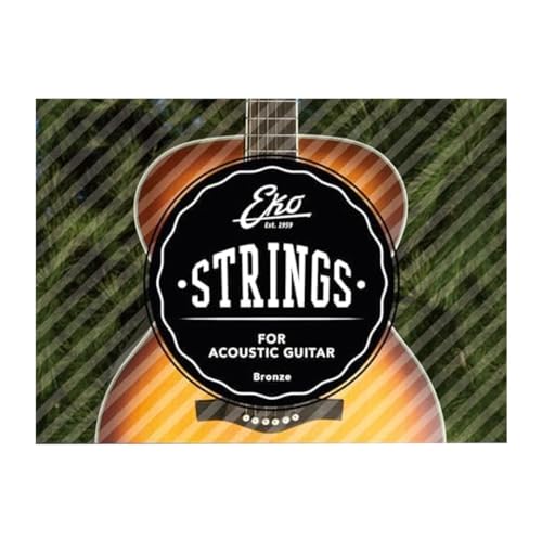 Eko - Corde Chitarra Acustica Bronze 12-53 Medium Set/6