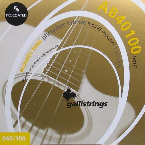 Galli Ab40100 Acoustic Bass Procoated Phosphor Bronze, Light