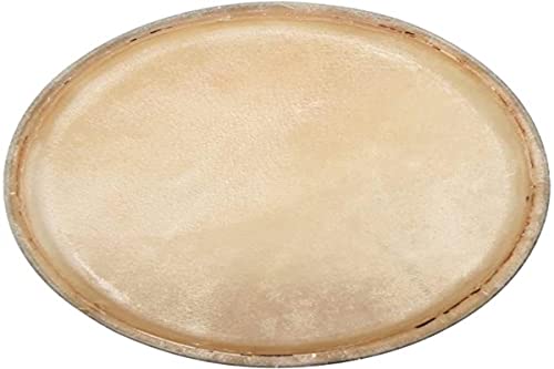 Club Salsa F847250 Pelle Conga 10"