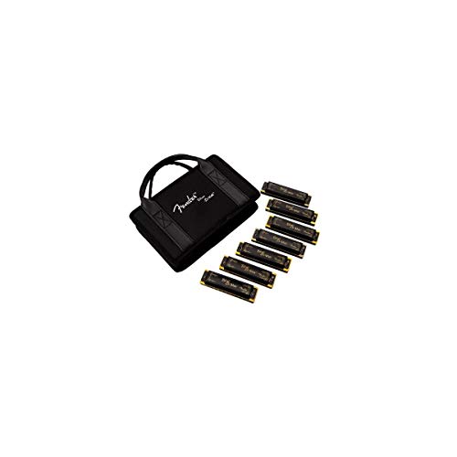 Fender 099-0702-049 049 Blues Deville Harmonica Set Di 7