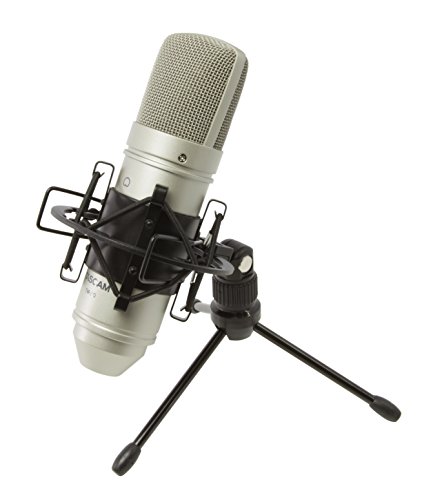 Tascam Tm-80, Microfono Professionale A Condensatore Per Home Studio Recording Per Voce E Strumenti Acustici, Argento