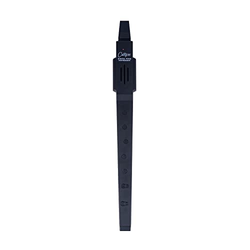 Carry-On Da Blackstar Digital Wind Instrument Nero - 10 Voci, Batteria Ricaricabile Usb Incorporata, Uscita Cuffie Per La Pratica Silenziosa, Midi Su