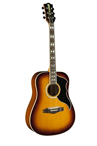 Eko Guitars 06216942 Ranger Series Vr Vi Dreadnought Chitarra Acustica-Elettrica, Honey Burst