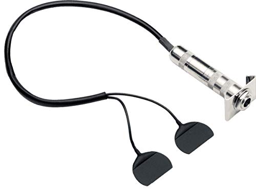 Fishman Classic Series Bp-100 Pickup Per Basso Verticale